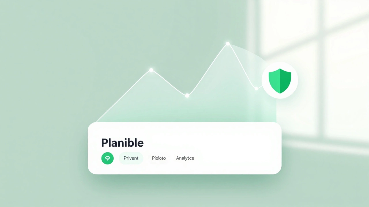 Простая веб-страница с прозрачными графиками Plausible и щитом конфиденциальности